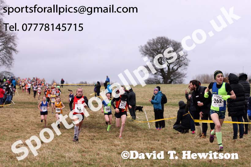 Girls under-13s, 2018 Northern Cross Country Champs., Harewood House, Leeds. Photo: David T. Hewitson/Sports for All Pics